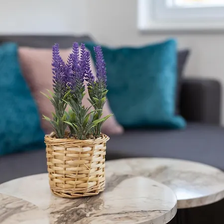M&A Apartmani Vrdnik Exteriör bild