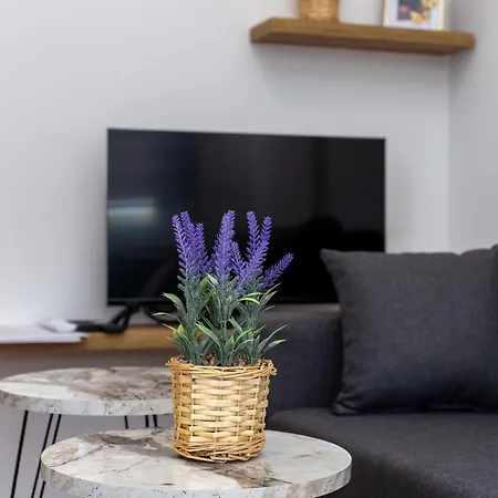 M&A Apartmani Vrdnik Exteriör bild